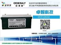 欧德塞蓄电池 DSY12170 欧德塞蓄电池 DSY12240 免维护蓄电池